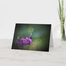 Mariposa, tarjeta