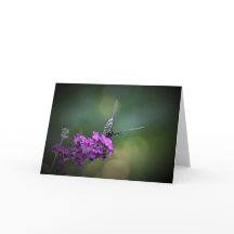 Mariposa, tarjeta