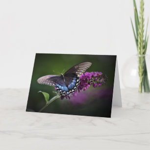 Mariposa, tarjeta