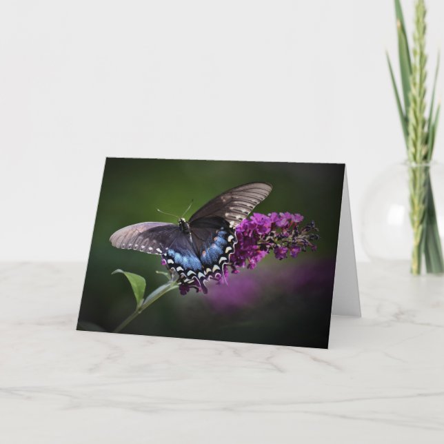 Mariposa, tarjeta (Anverso)