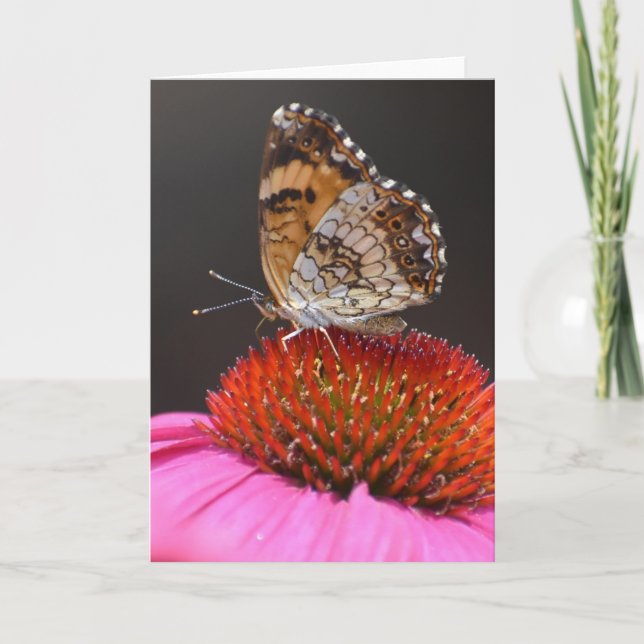 Mariposa, tarjeta (Anverso)