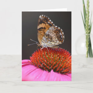 Mariposa, tarjeta