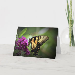 Mariposa, tarjeta