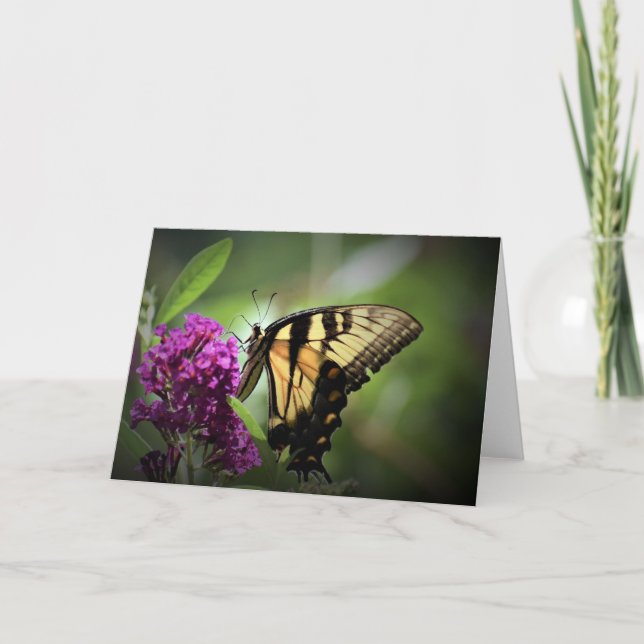 Mariposa, tarjeta (Anverso)