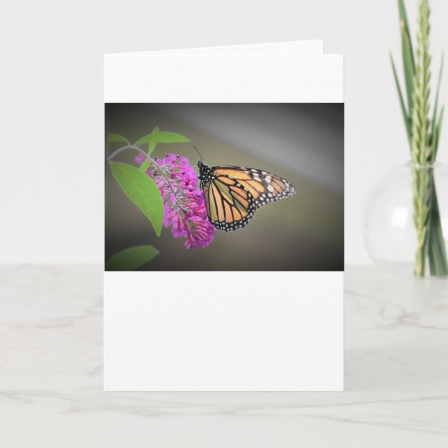 Mariposa, tarjeta (Anverso)
