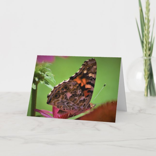 Mariposa, tarjeta (Anverso)