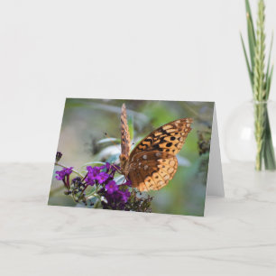Mariposa, tarjeta