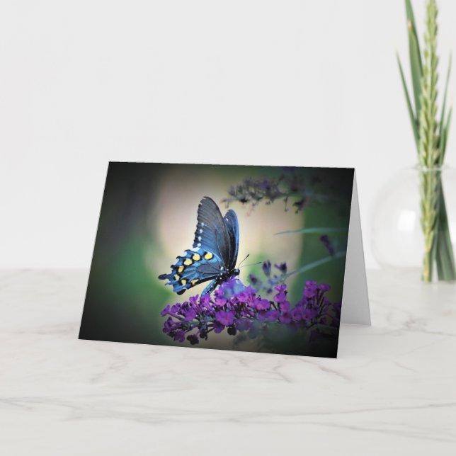 Mariposa, tarjeta (Anverso)