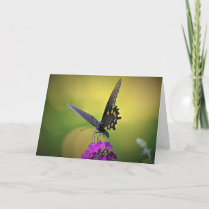Mariposa, tarjeta