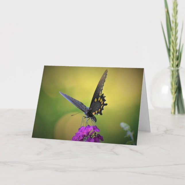 Mariposa, tarjeta (Anverso)