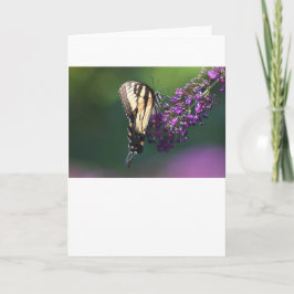 Mariposa, tarjeta
