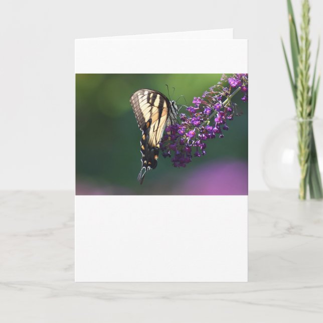 Mariposa, tarjeta (Anverso)