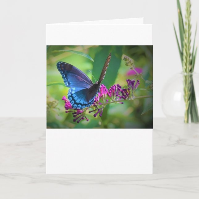 Mariposa, tarjeta (Anverso)