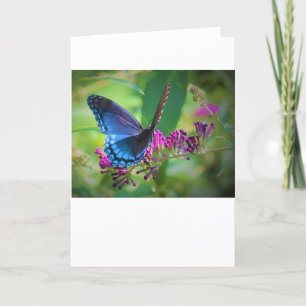 Mariposa, tarjeta