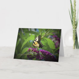 Mariposa, tarjeta