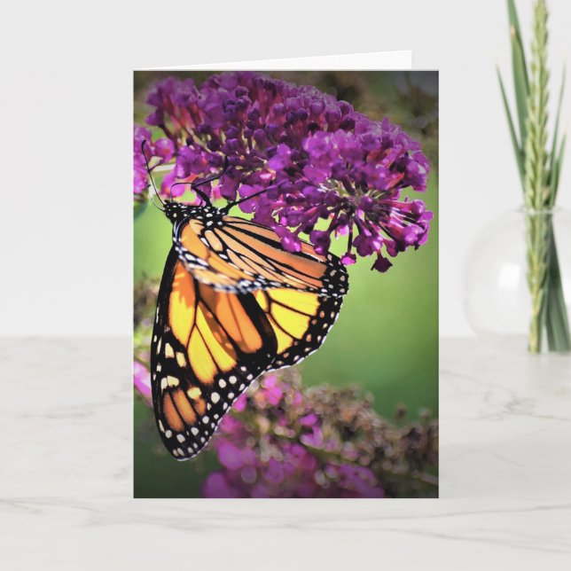 Mariposa, tarjeta (Anverso)