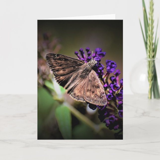 Mariposa, tarjeta (Anverso)