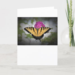Mariposa, tarjeta