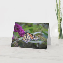 Mariposa, tarjeta