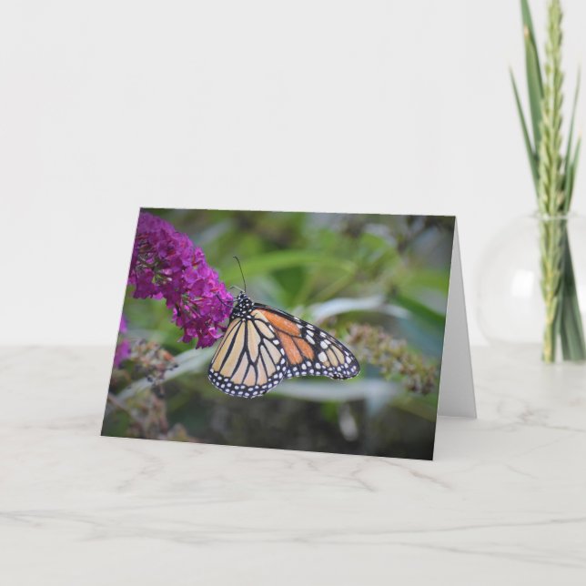 Mariposa, tarjeta (Anverso)