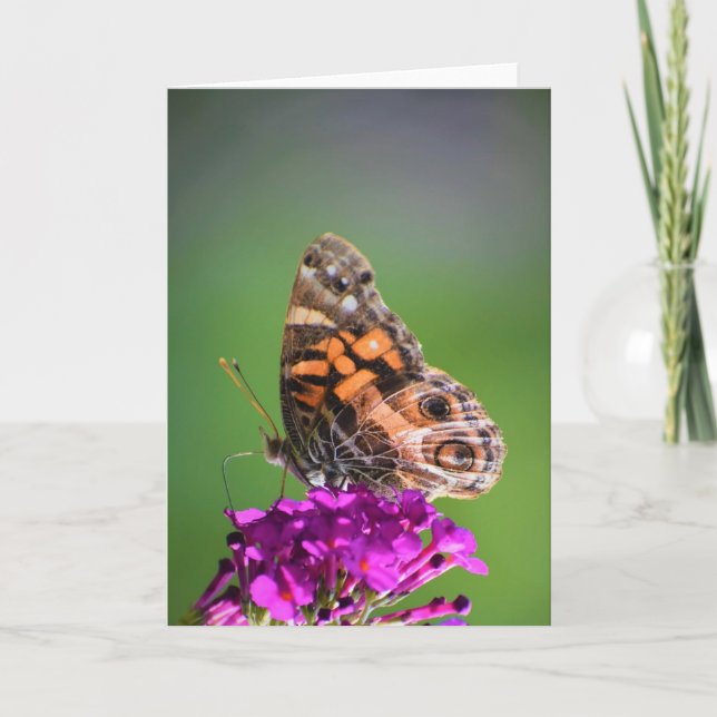 Mariposa, tarjeta (Anverso)