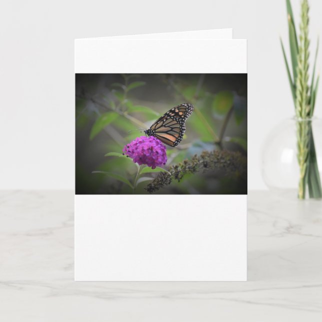 Mariposa, tarjeta (Anverso)
