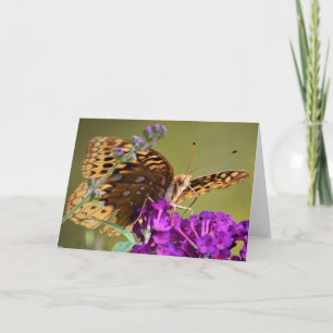 Mariposa, tarjeta