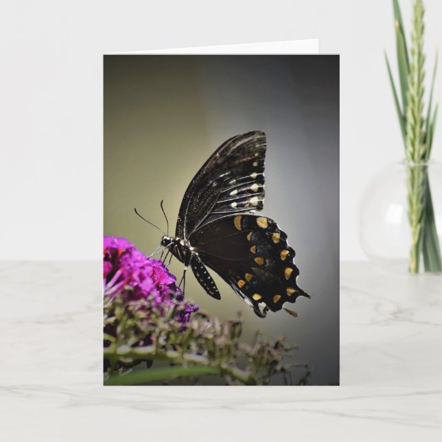 Mariposa, tarjeta (Anverso)