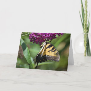 Mariposa, tarjeta