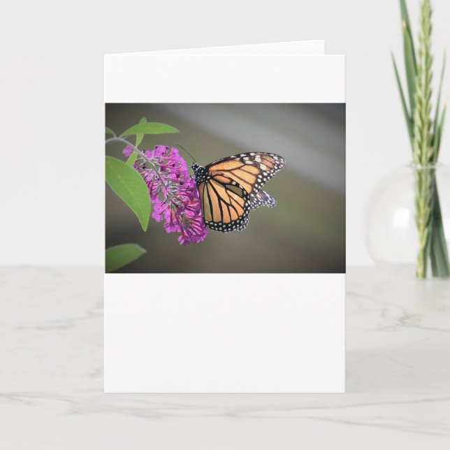 Mariposa, tarjeta (Anverso)