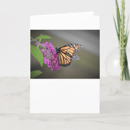 Mariposa, tarjeta