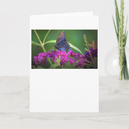 Mariposa, tarjeta