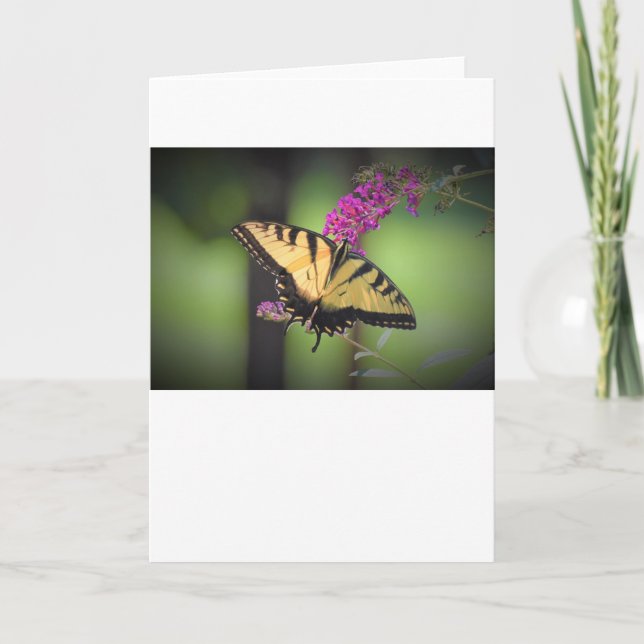 Mariposa, tarjeta (Anverso)