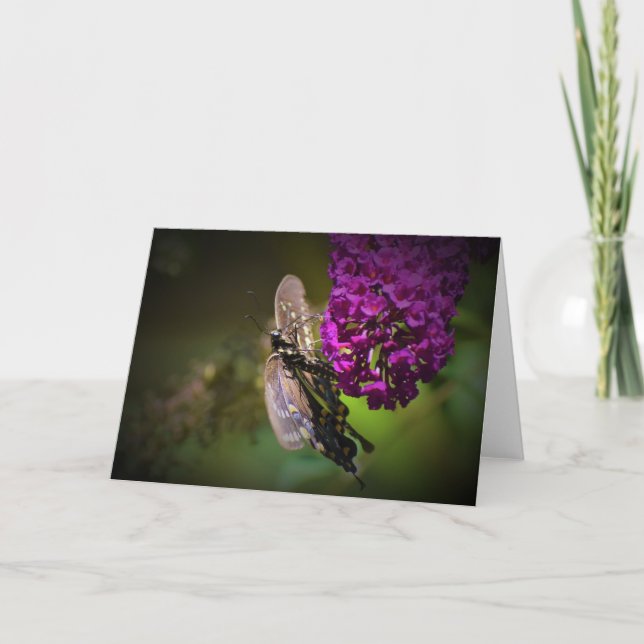 Mariposa, tarjeta (Anverso)