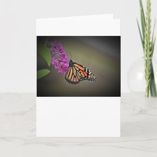 Mariposa, tarjeta (Anverso)