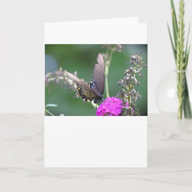 Mariposa, tarjeta (Anverso)