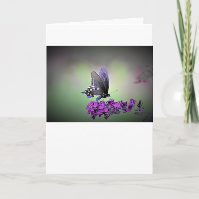 Mariposa, tarjeta (Anverso)