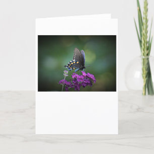 Mariposa, tarjeta