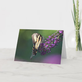 Mariposa, tarjeta