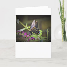 Mariposa, tarjeta