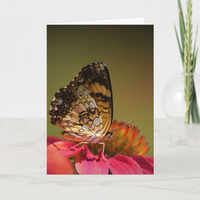 Mariposa, tarjeta (Anverso)