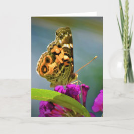 Mariposa, tarjeta