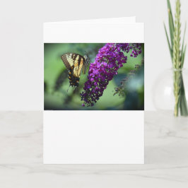 Mariposa, tarjeta