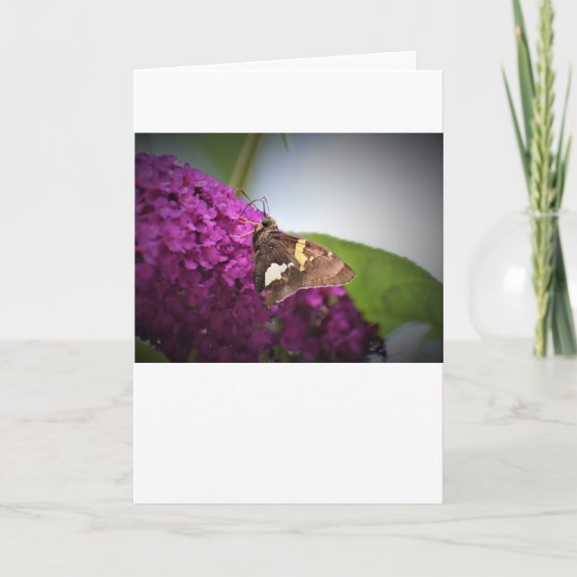 Mariposa, tarjeta (Anverso)