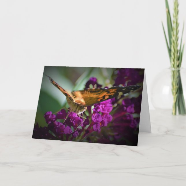 Mariposa, tarjeta (Anverso)