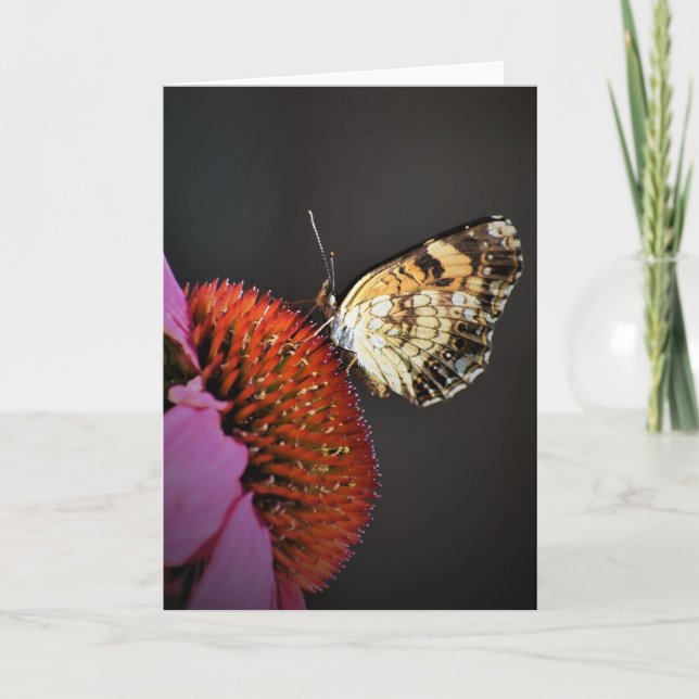 Mariposa, tarjeta (Anverso)