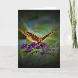 Mariposa, tarjeta