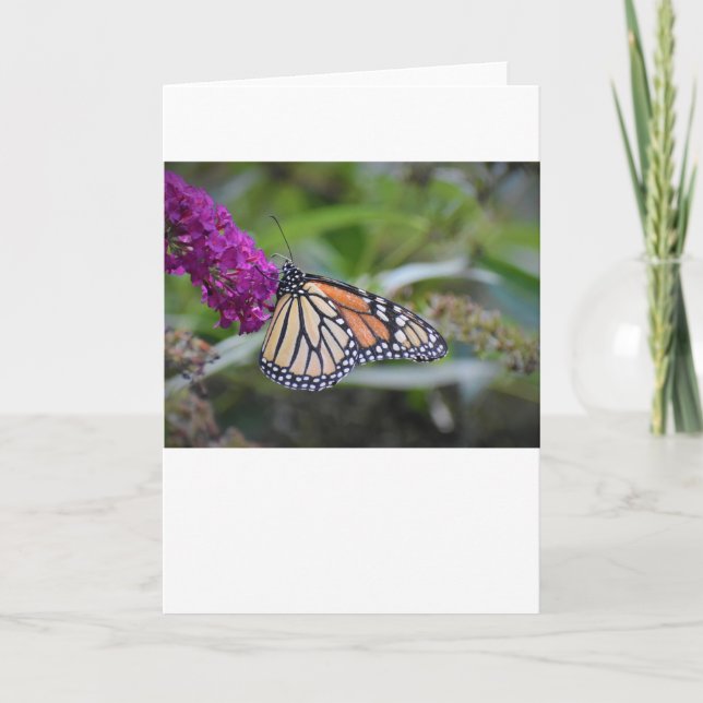 Mariposa, tarjeta (Anverso)