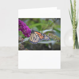 Mariposa, tarjeta