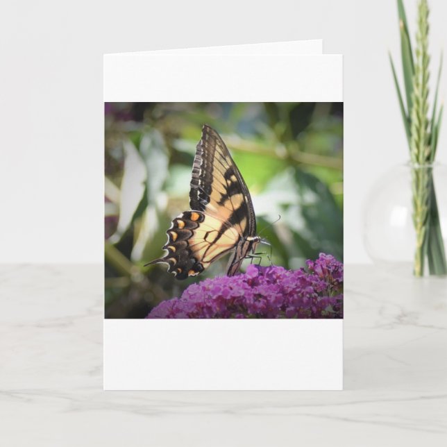 Mariposa, tarjeta (Anverso)